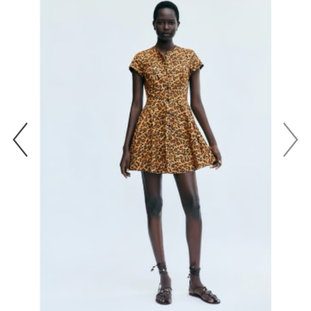 Zara Brown Leopard Print Mini Dress -size S
